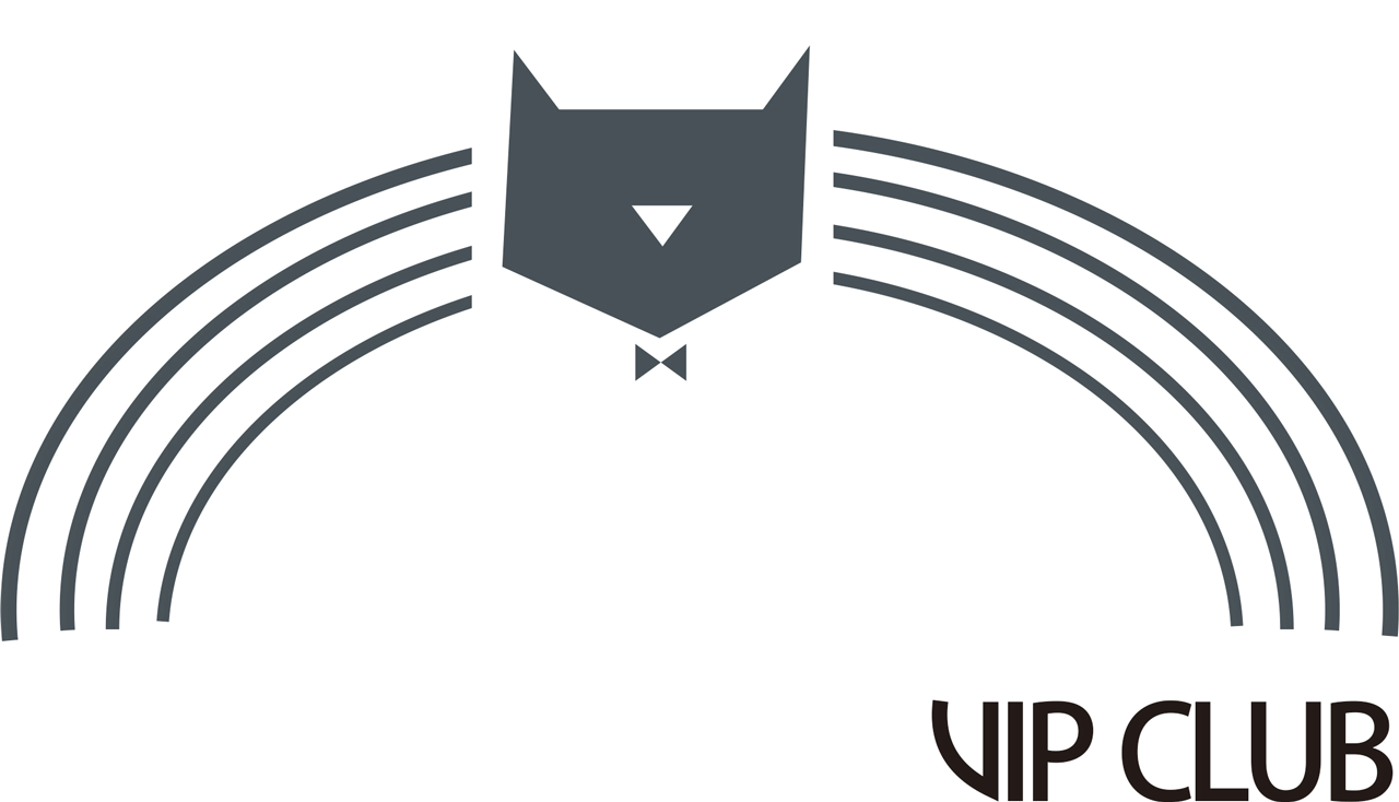 VIP Club